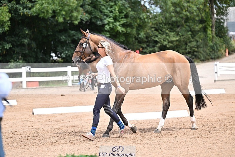 250716-132228-00469 - Trot Up 12.30 to 1.30