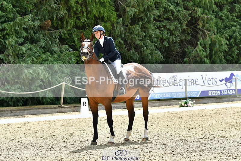 260801A-121102-03840 - Prelim Bronze Break - End