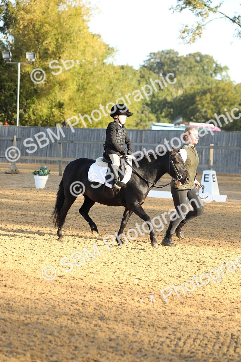 SBM_33557 - D26 - Starers - Lead Rein