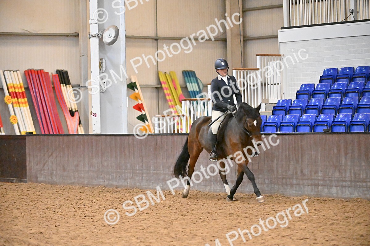SBM_002944 - Class 37,38 - UKPSAF Performance Horse & Pony