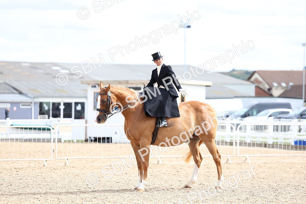 SBM_03452 - Class 24 - SSA Concours d'elegance (any age)
