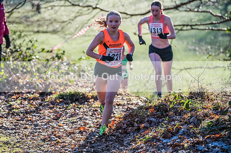 Cumbria XC-481 - Cumbria Cross Country Championships (Junior & Senior Races) Saturday 3rd January 2026