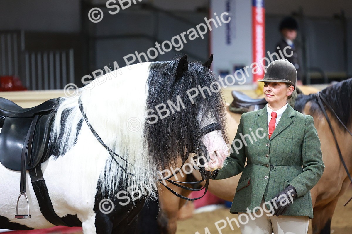 SBM_09555 - Class 102 - HOYS Veteran Qualifier - Ridden Veteran
