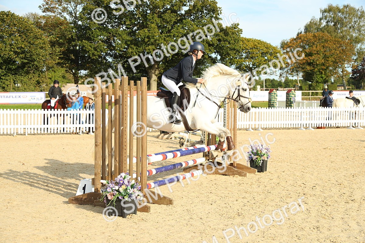 SBM_53555 - J8 - Junior Pony 65cm Championship