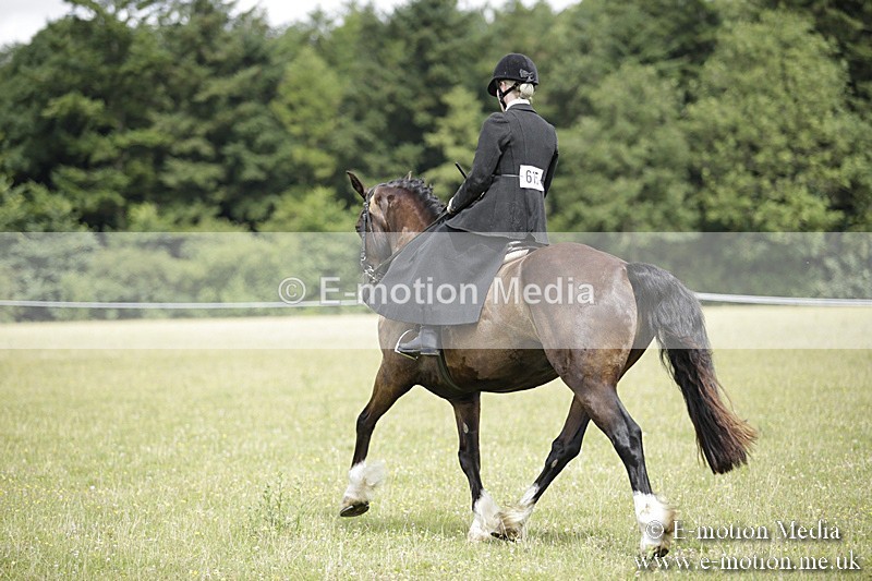 BVR160717-1971 - Side Saddle Classes 16/07/17