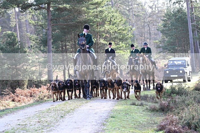 WJ7_7672 - Line 3 (no line 4 or 5)