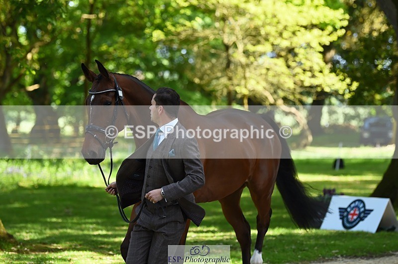 230524-154524-00478 - 365-BWE_NEWTON_DE_JASPER-Adam_Harvey-WEDTrotUp+DR