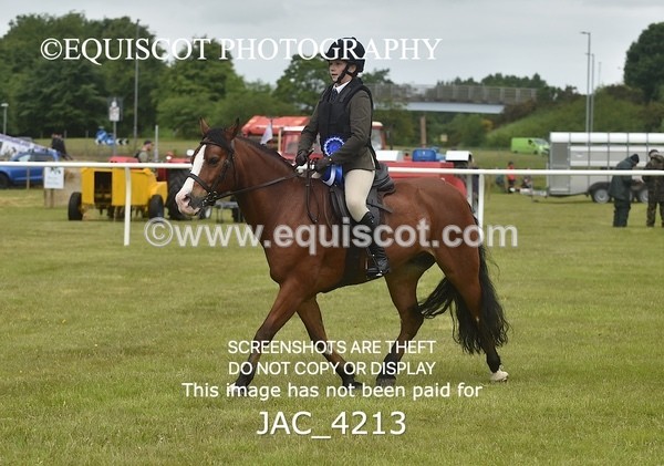 JAC_4213 - WORKING HUNTER CHAMPIONSHIP