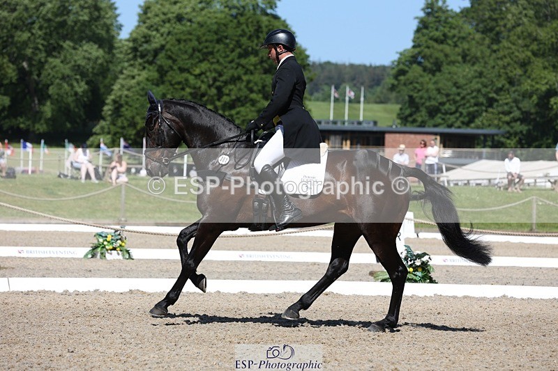 230526-103520-05290 - 362-SPIRIT'S_GEMINI-Harry_Dzenis-WEDTrotUp+DR