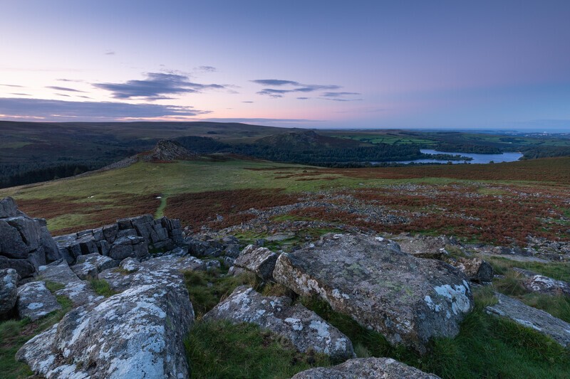 Vista - Dartmoor