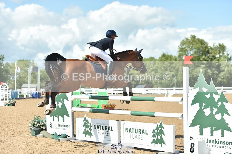 230723A-155016-13199 - Cls 16, 1 Star Bronze 1.15m