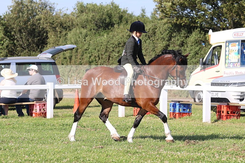 JPP_1259 - Class 18: Cornish Combination Young Rider