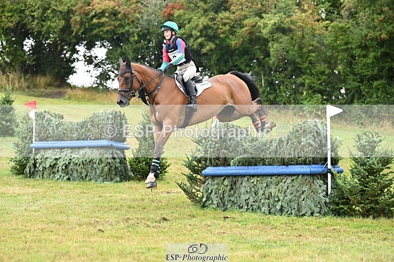 TS_b1209600 - SAT BE 90 Recovered Files fence 8