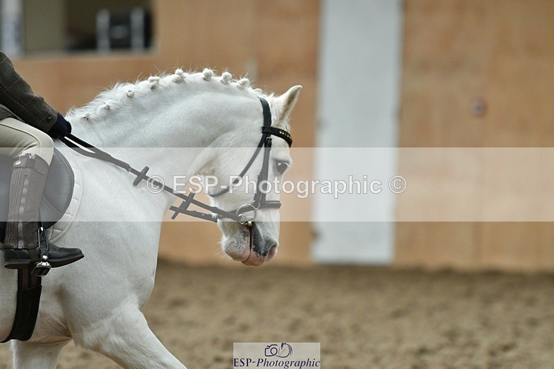 230404-103354-00089 - Cls 1 Walk Trot PC Test