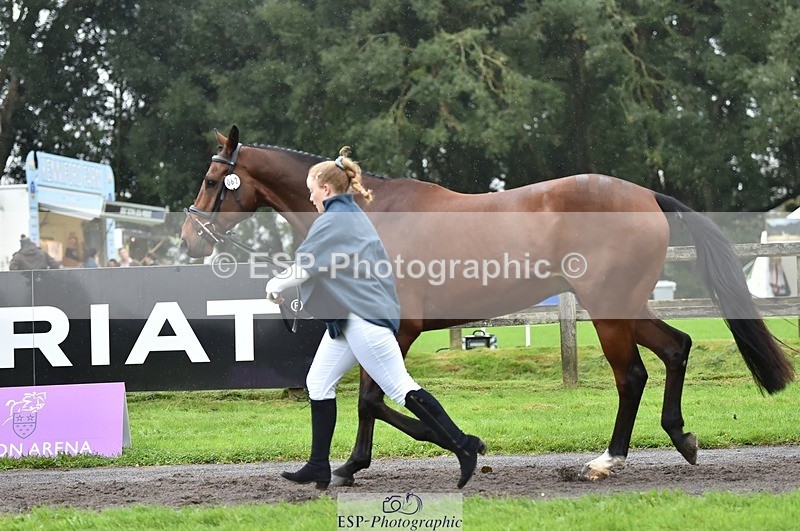 231018-124626-00510 - 062-CLASS.ROMANCE-Eleanor.Hope-TrotUp