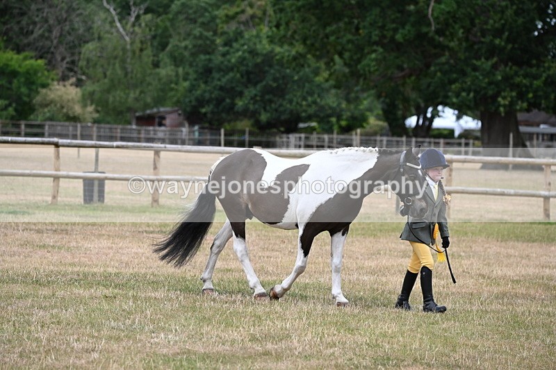 WJ6_4564 - Class 10 Coloured In-hand