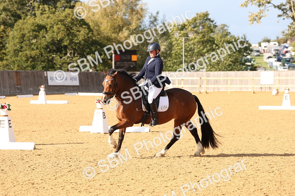 SBM_27020 - D17 - Grand Tour Championship Novice 3