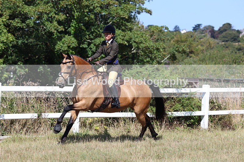 3E7A6432 - Working Hunter Championship