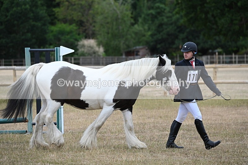 WJ6_7812 - Class 10 Coloured in Hand