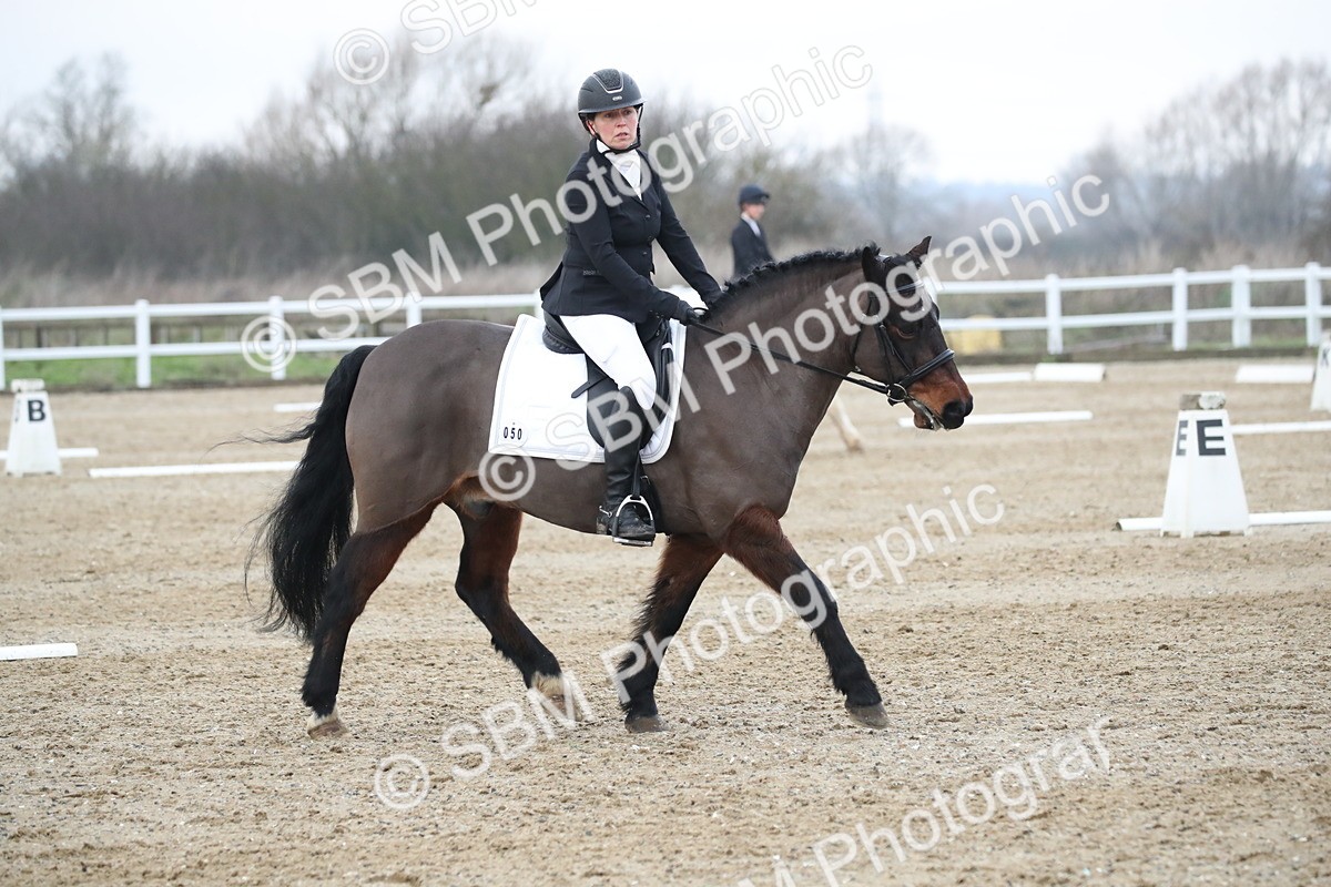 SBM_004641 - Novice 3