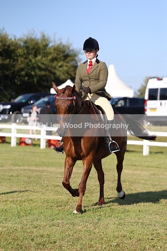 3E7A5064 - Class 1: Rising Star Small Hack/Riding Horses