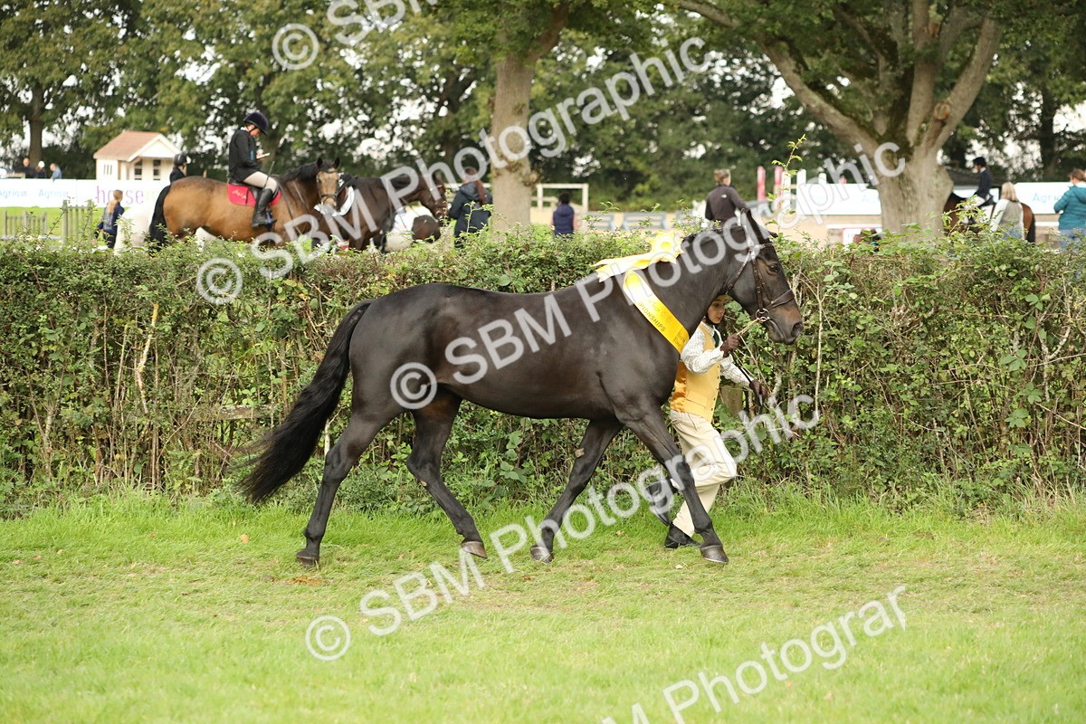 SBM_75358 - Equitation Supreme Championship