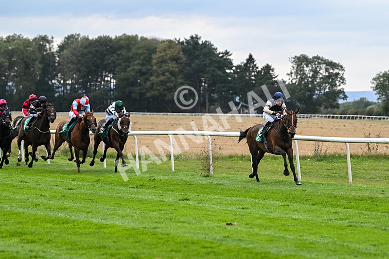 060925-Race 6-Bosphorus Rose-6008 - Race 6