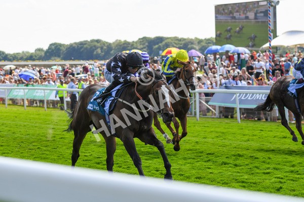 160623-Race 3-Radio Goo Goo-0405 - Race 3 3.00pm British EBF Supporting Racing With Pride Fillies' Handicap