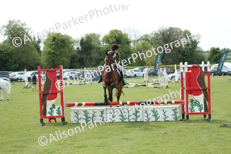 20260426-2083 - Class 15 - Absolute Novice 70cm