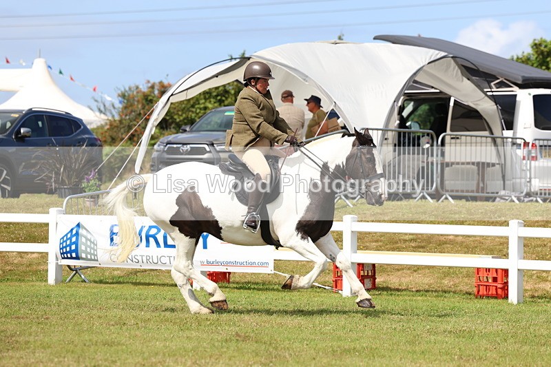 3E7A9946 - Class 5: Rising Star Lightweight/Heavyweight Cobs