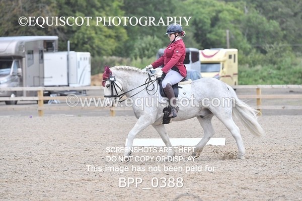 BPP_0388 - ELEM 6 & 4