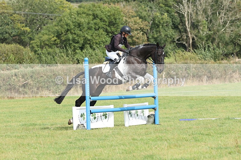 JPP_9043 - Class 3: Nankelly Open: 90cm Showjumping