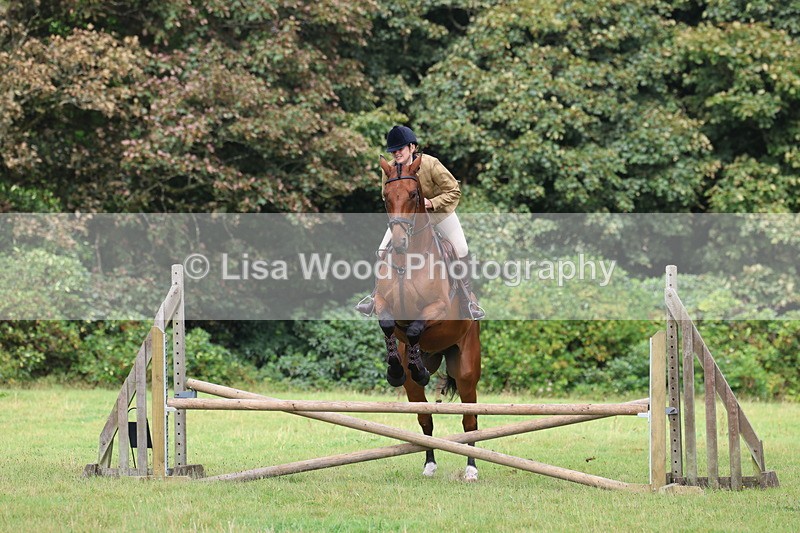 3E7A5817 - Class 26 and 27: 70cm Working Hunter