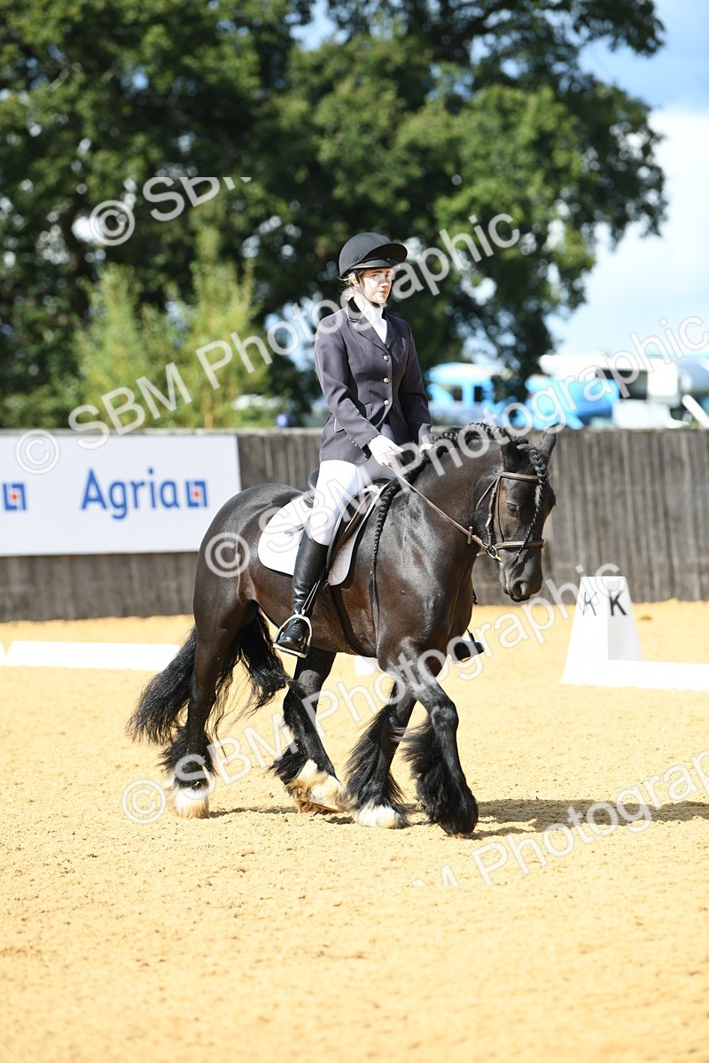 SBM_06589 - D15 Small Tour Championship Novice 24