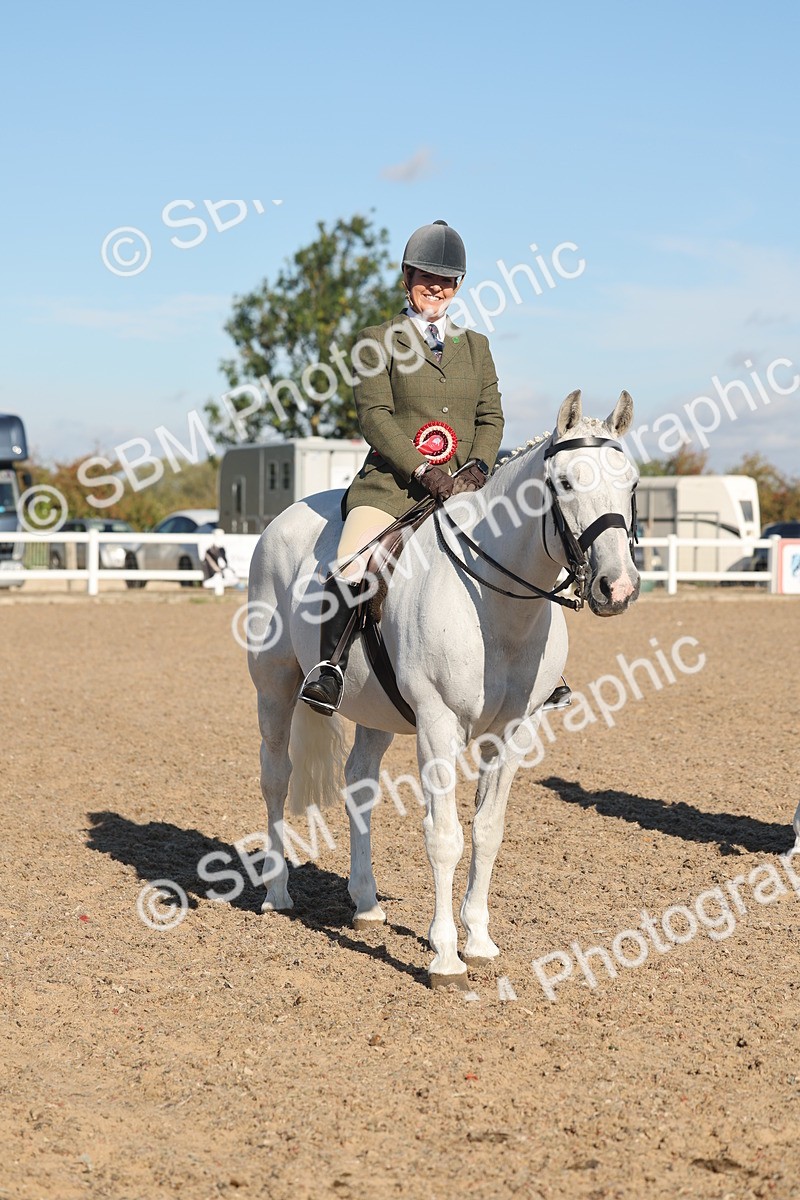 SBM_12243 - Class 303 - Ridden Pure Bred Horse Pony