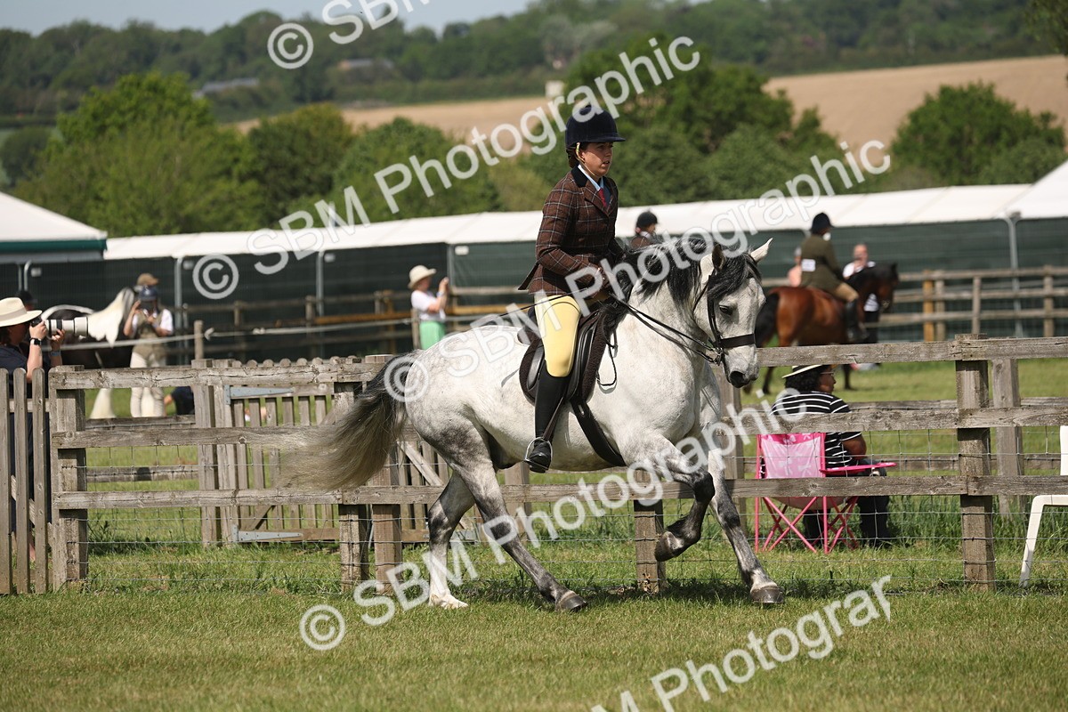 SBM_07590 - Class 26-30 - Mountain and Moorland Ridden