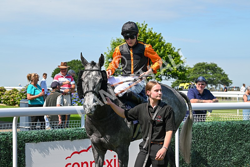 250624-Race 3-Island Native-5459 - Race 3