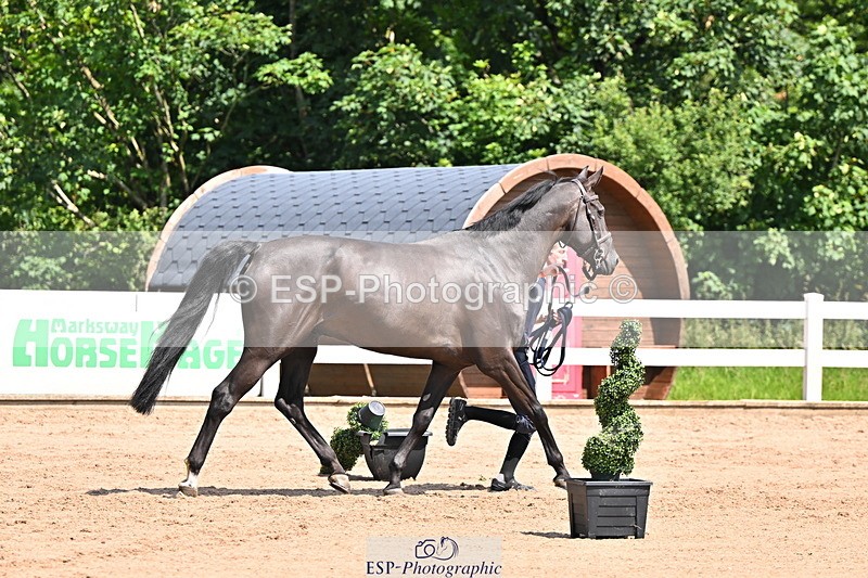 240718A-105245-01107 - Trot Up 12pm to 1pm