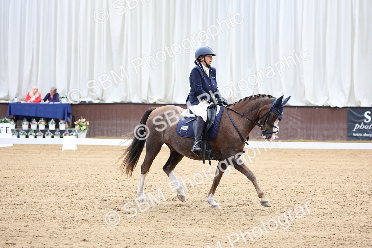 SBM_015749 - Class 15 - Novice FSM - 9.50 - 11.10