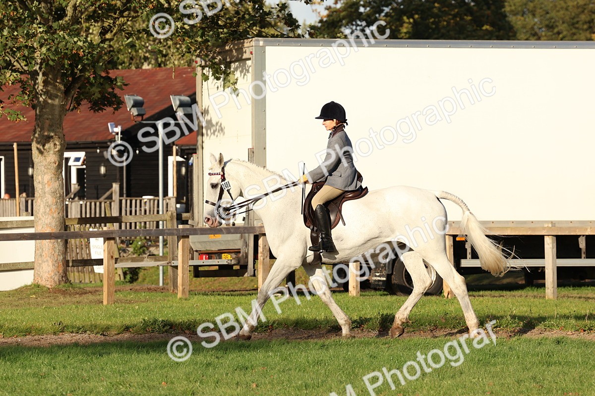 SBM_53049 - S29 - Mature Veteran Ridden