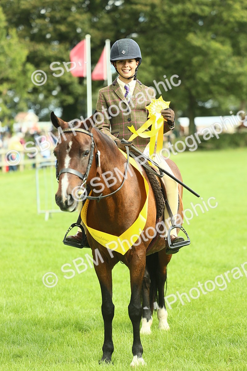 SBM_44815 - S31 - Working Hunter Pony