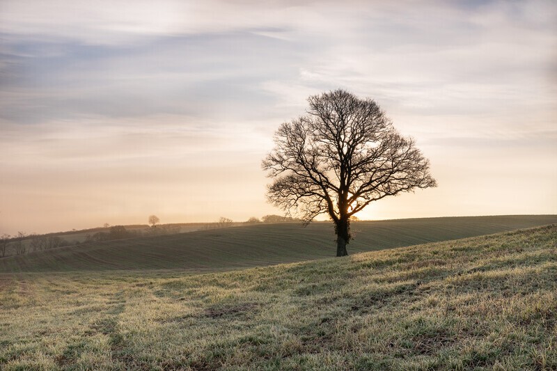 Alone - Cornwall