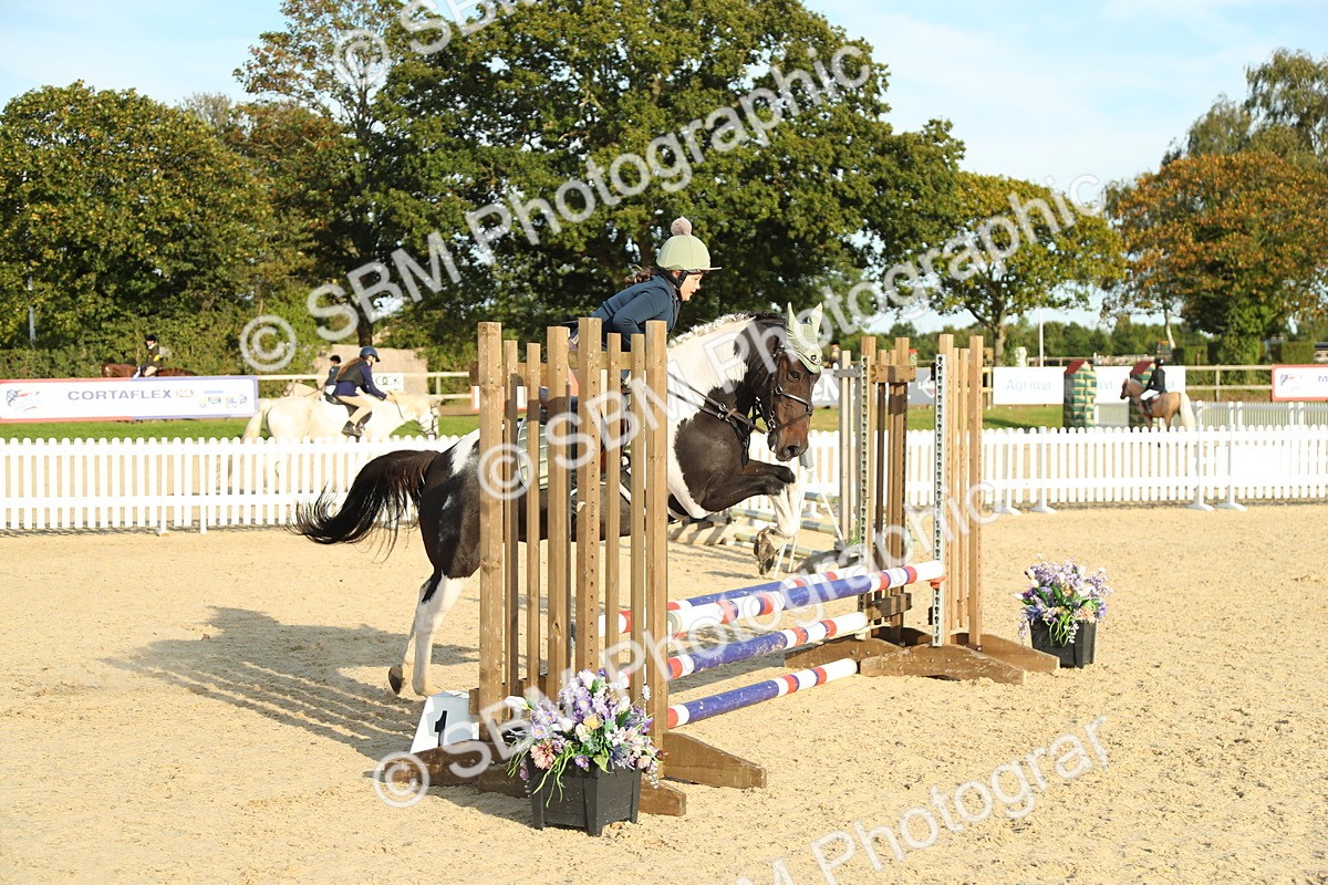 SBM_53608 - J8 - Junior Pony 65cm Championship