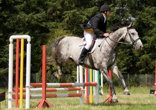 92 - Moniaive Horse Show 2008