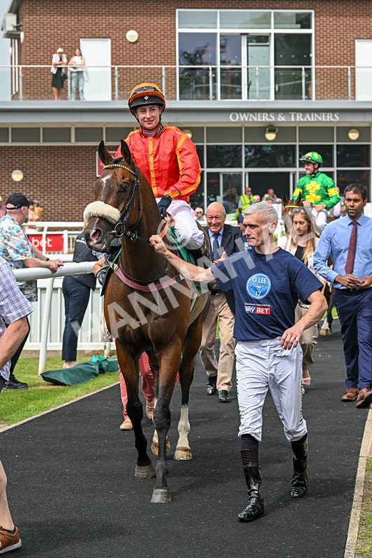 250725-Graham Lee IJF Stable Staff Stakes-F-3993 - The Graham Lee IJF Fund Stable Staff Stakes