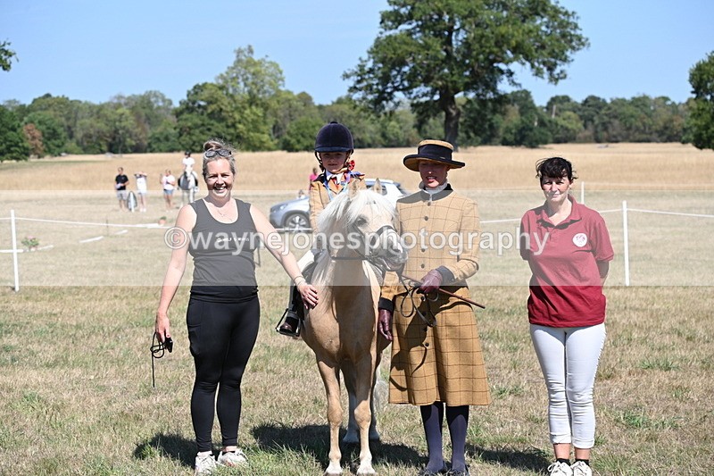 WJ6_8134 - Class 36 Lead Rein