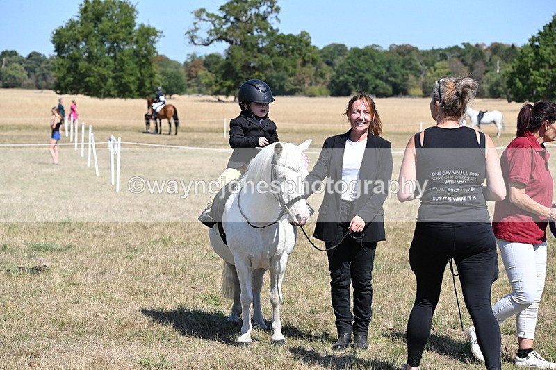 WJ6_8167 - Class 36 Lead Rein