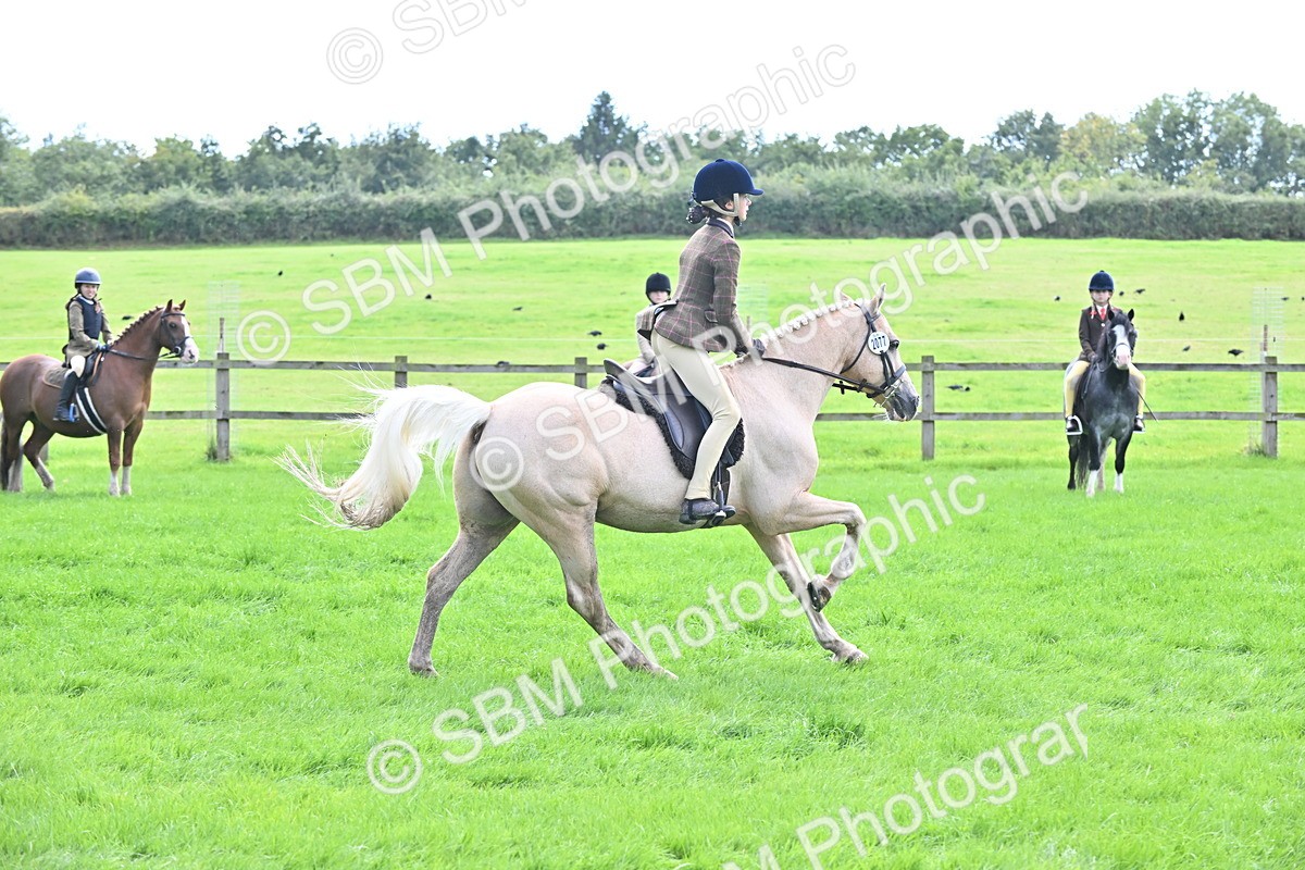 SBM_44507 - S13 - Pony Club Pony