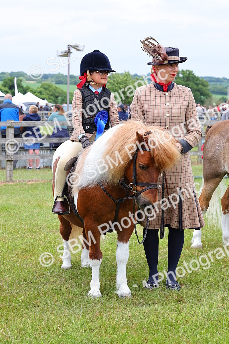SBM_08368 - Class 42-43 - LIHS BSPS Heritage Working Sports Pony