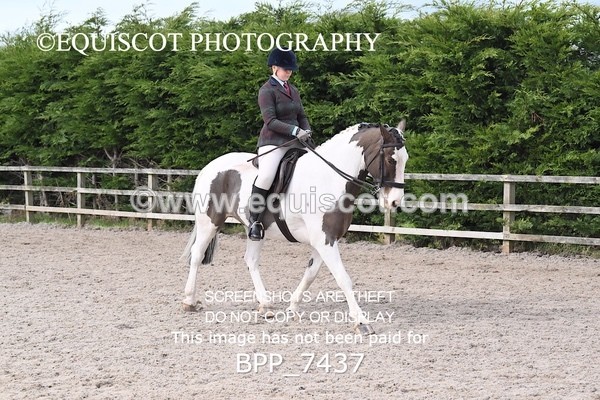BPP_7437 - RING 1  (RIDDEN HORSES / IN HAND / VETERAN ETC)